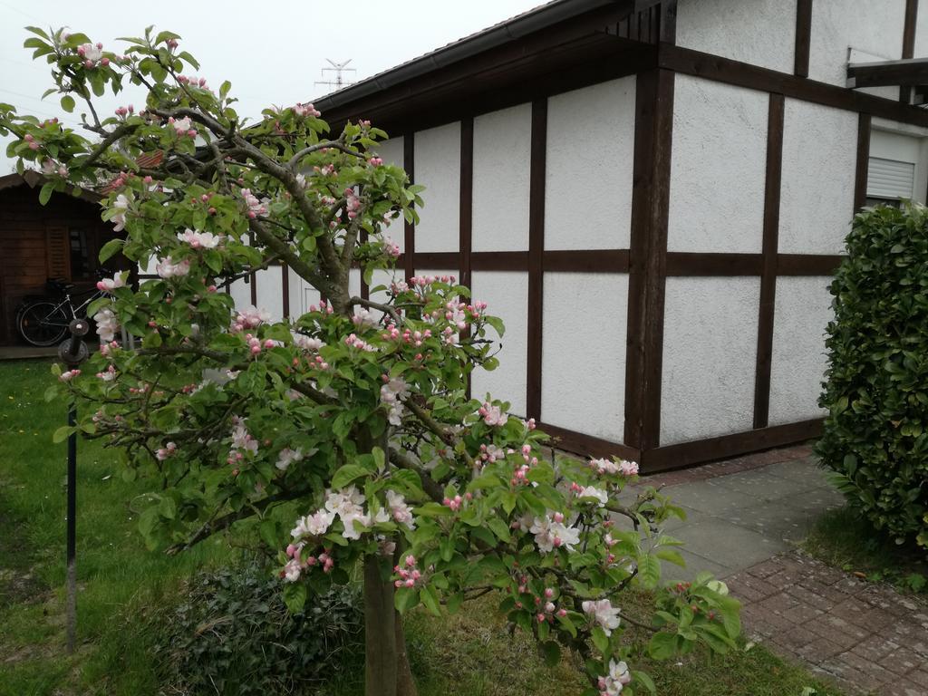 Ferienhaus Apfelbluete Twielenfleth Buitenkant foto